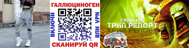дарнет шоп дарк нет наркотические препараты Псилоцибиновые грибы MAGIC MUSHROOMS Иваново
